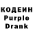 Кодеиновый сироп Lean Purple Drank Elena Zagoret