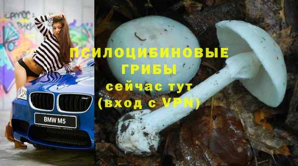 apvp Белоозёрский