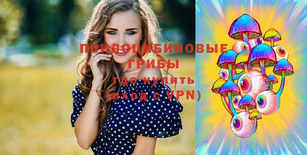 синтетический гашиш Белокуриха