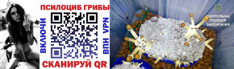Галлюциногенные грибы мицелий  даркнет сайт  Клинцы 