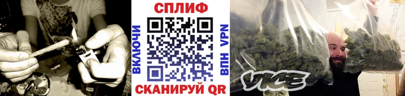 Канабис SATIVA & INDICA Клинцы